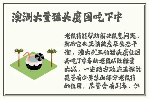 沈娜娜苏清歌作品在线看